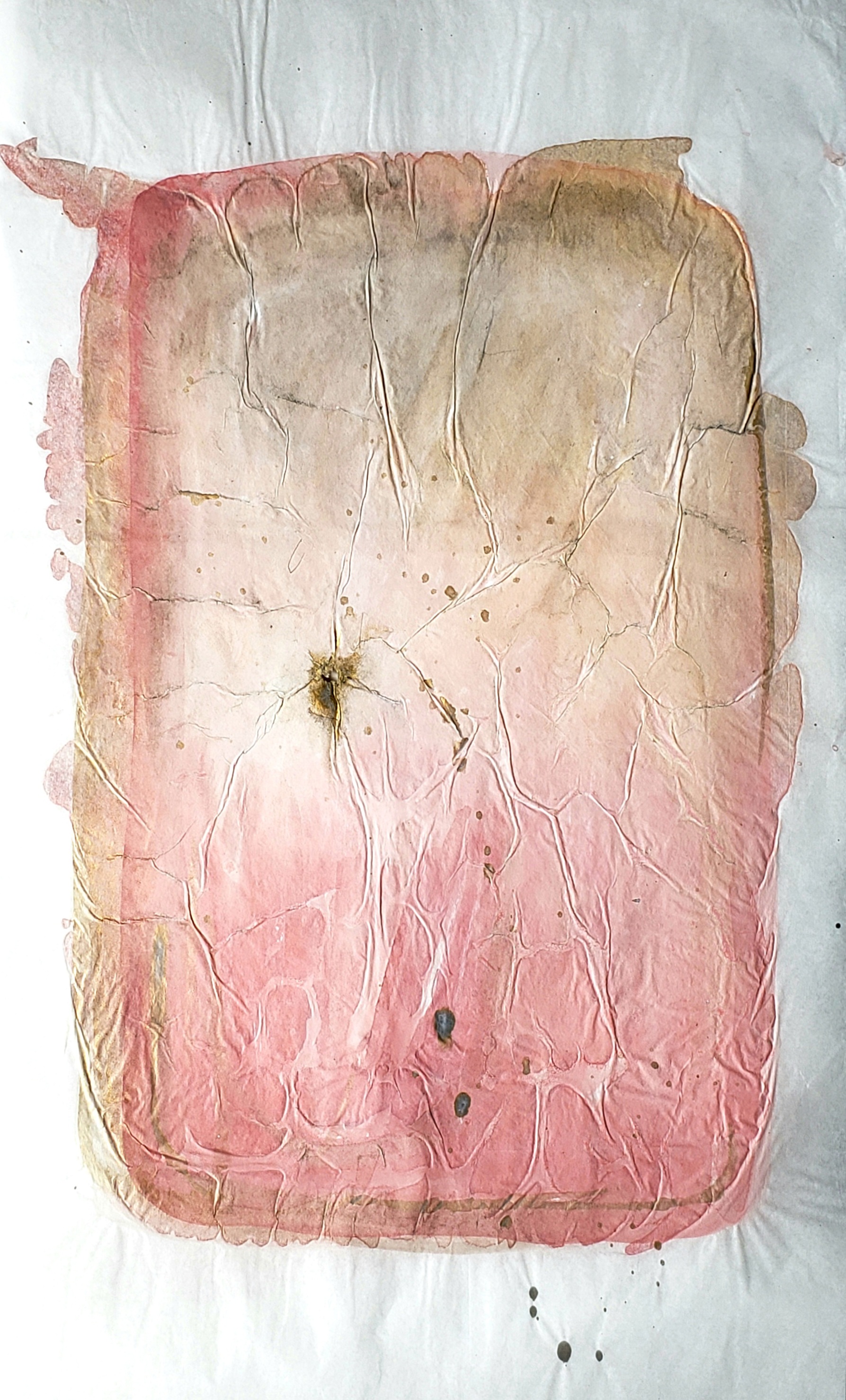 Seda Bahia XVIII — 2025 — 0.30m x 0.50m. Acrílico sobre papel de seda — Fabio Crisanti
